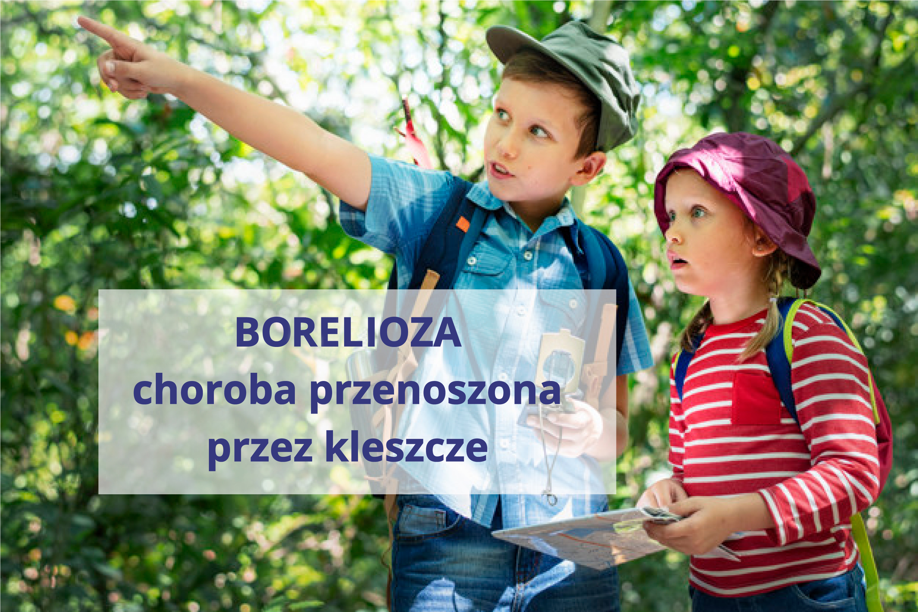 Read more about the article Borelioza – choroba przenoszona przez kleszcze