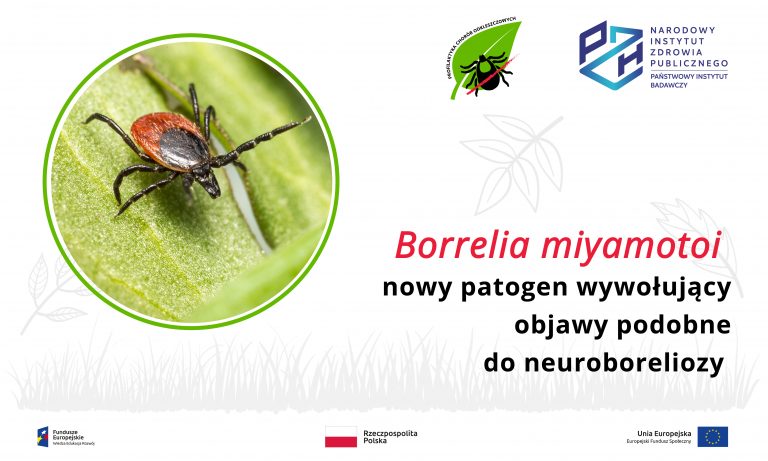 Read more about the article Borrelia miyamotoi – nowy patogen wywołujący objawy podobne do neuroboreliozy