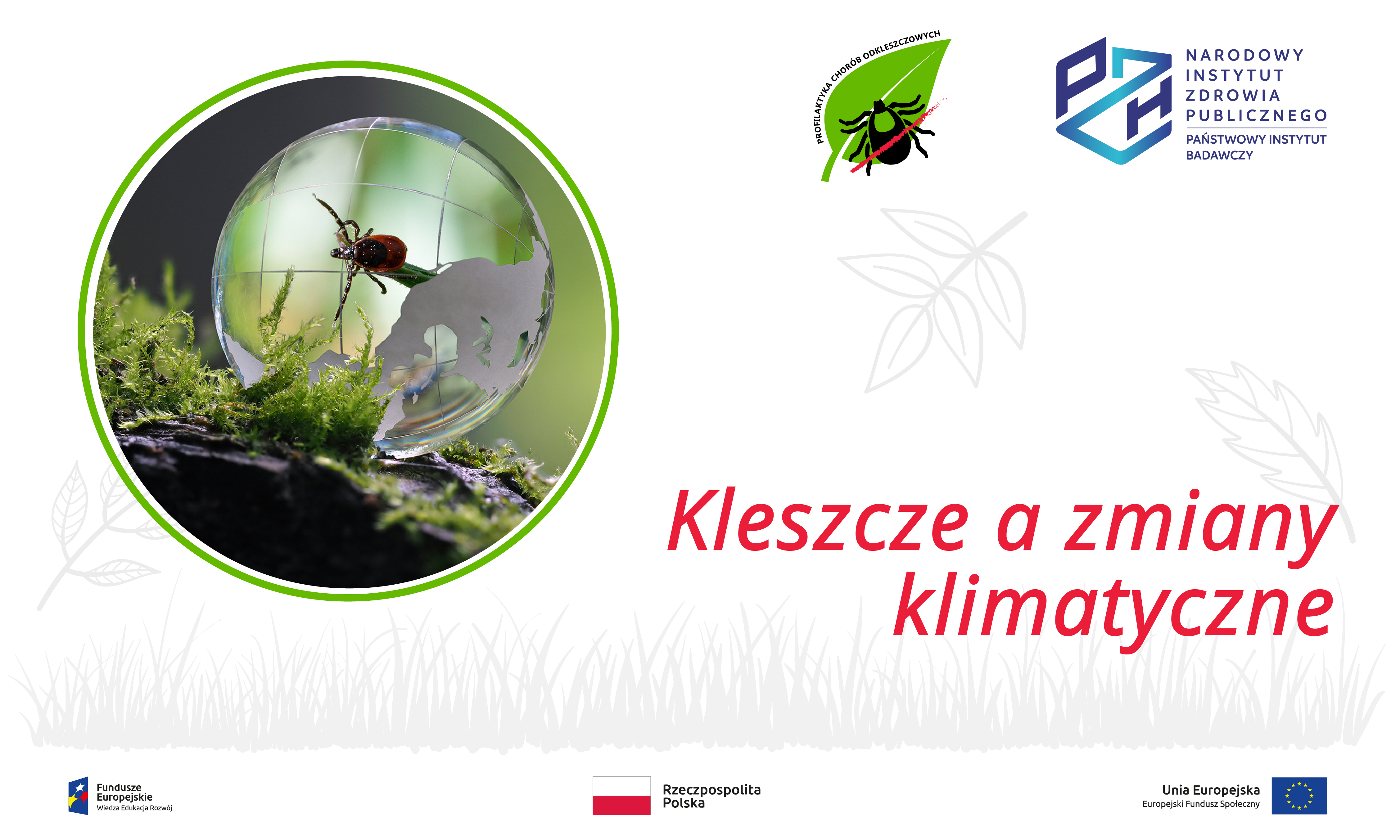 Read more about the article Kleszcze a zmiany klimatyczne