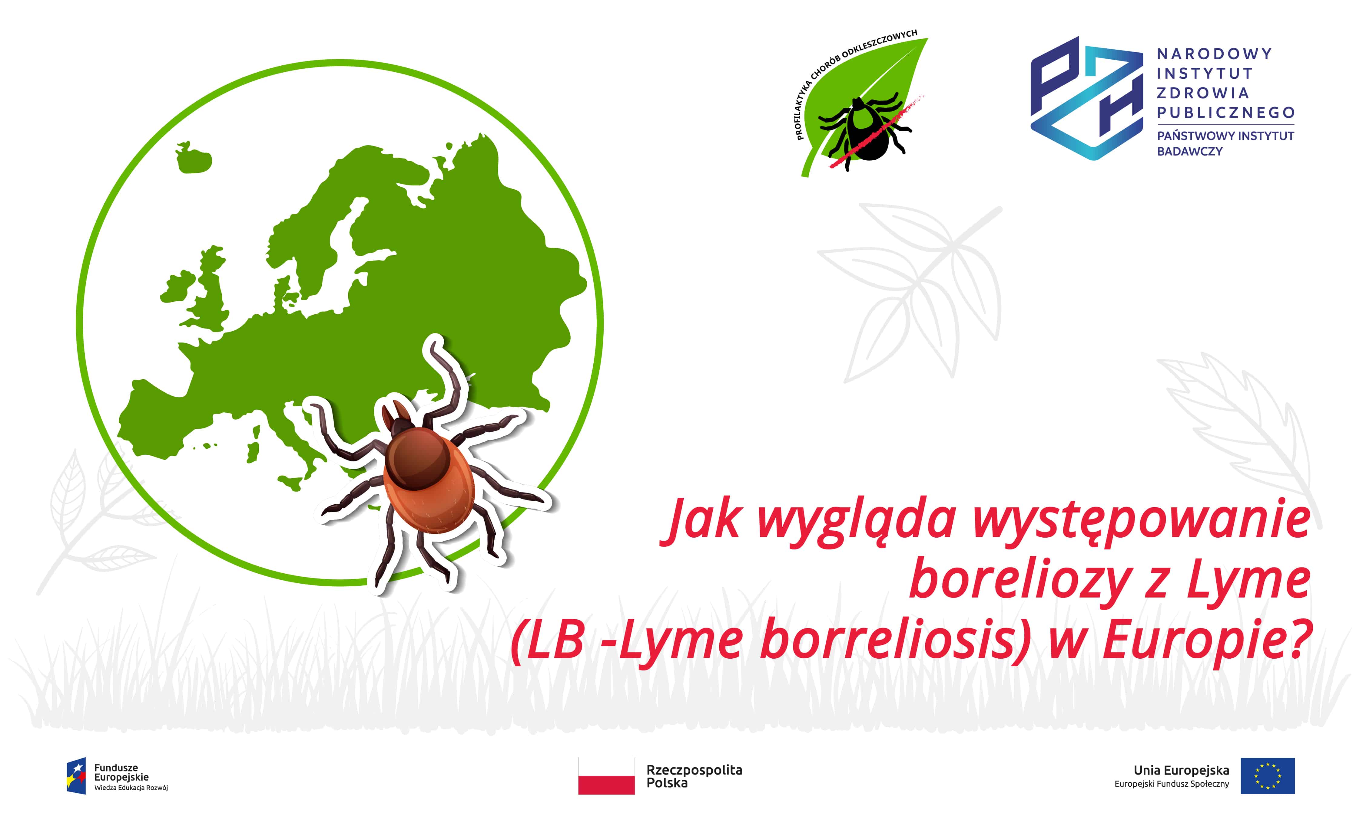 Read more about the article Jak wygląda występowanie  boreliozy z Lyme (LB -Lyme borreliosis) w Europie?
