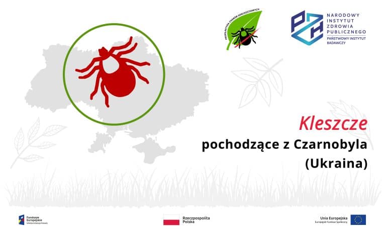 Read more about the article Kleszcze pochodzące z Czarnobyla (Ukraina)